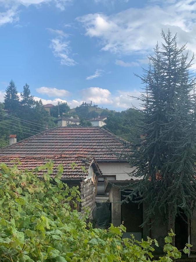 вино от глухарчета