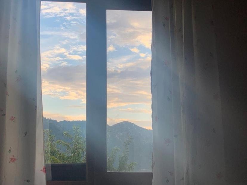 Ferienhaus вино от глухарчета *