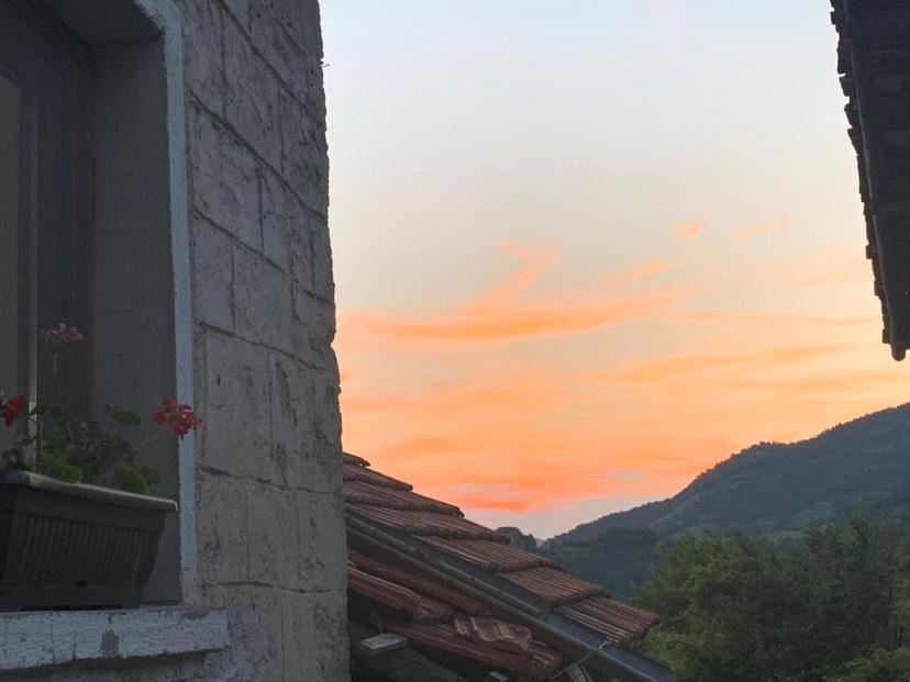 вино от глухарчета Ferienhaus Borovo (Plovdiv)