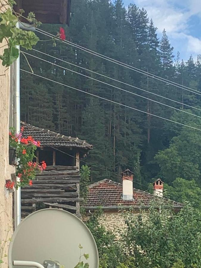 вино от глухарчета Ferienhaus