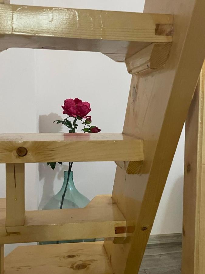 вино от глухарчета * Borovo (Plovdiv)