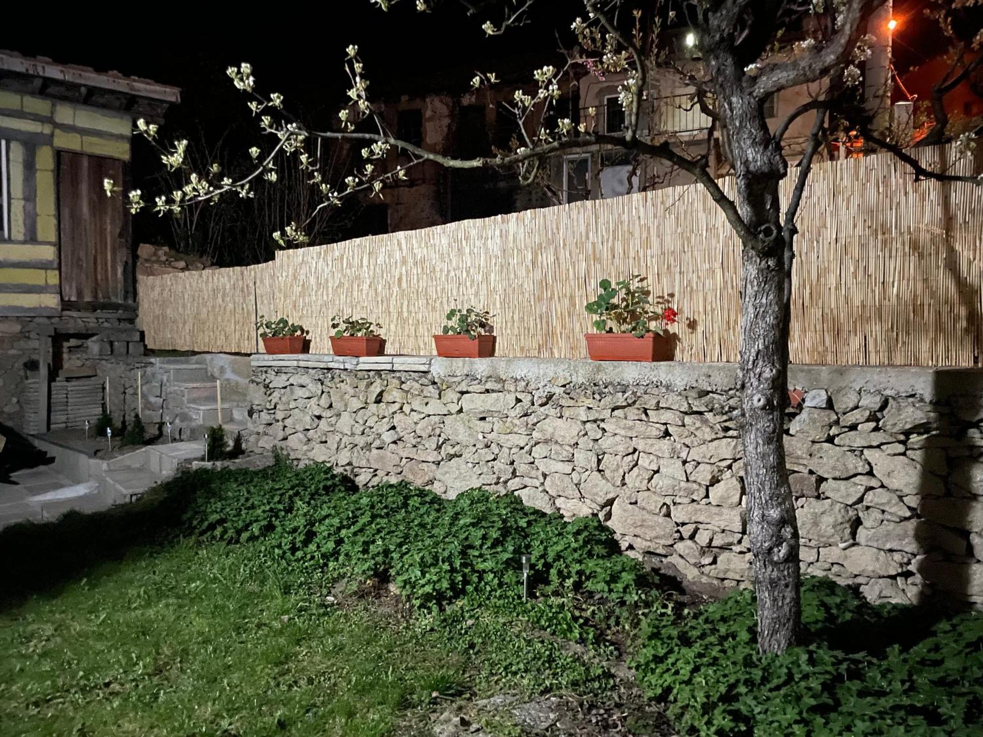 вино от глухарчета * Borovo (Plovdiv)